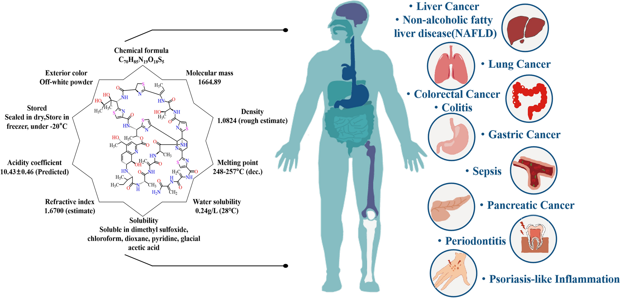 Thiostrepton: multifaceted biological activities and its applications in treatment of inflammatory diseases