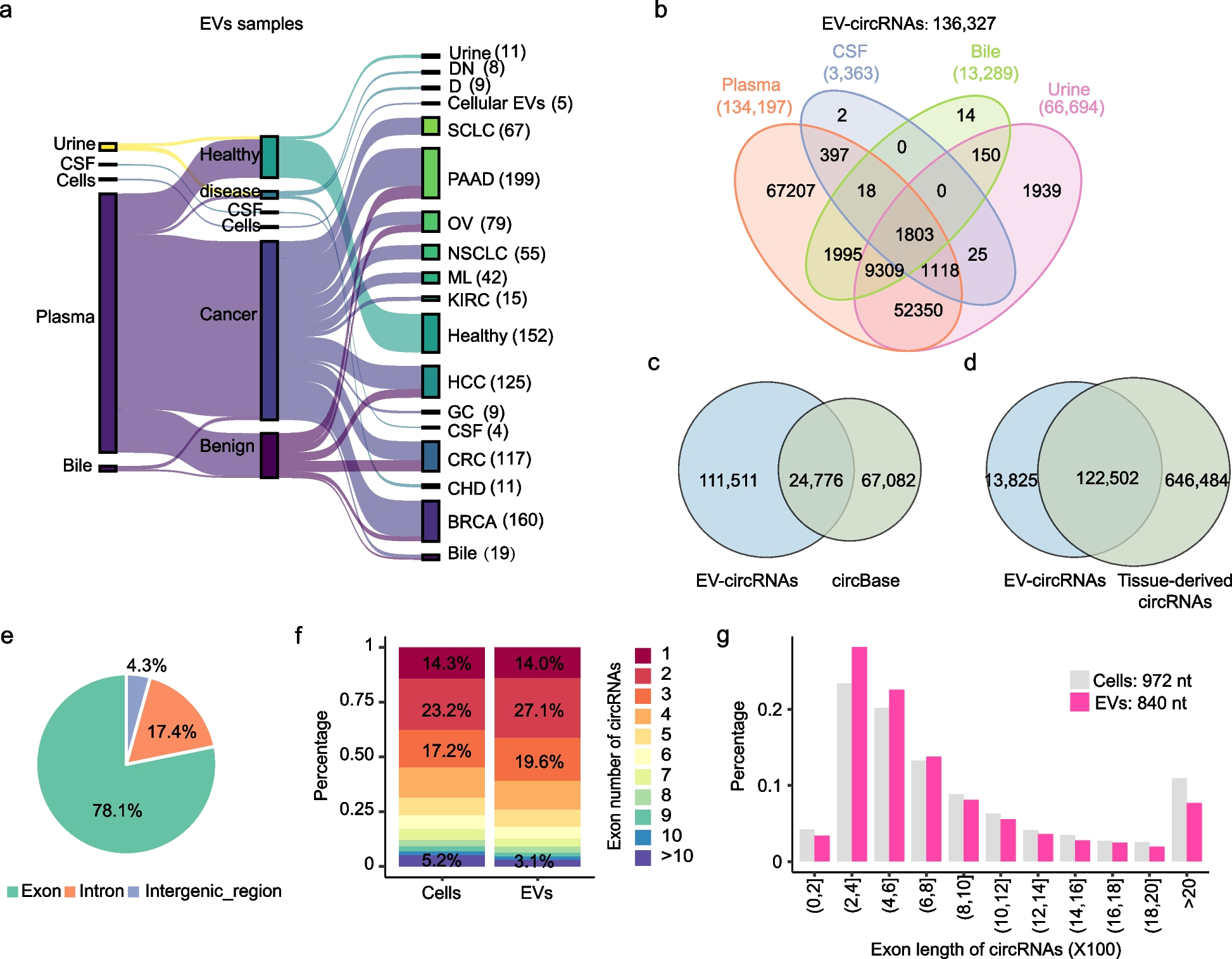 Circular RNA landscape in extracellular vesicles from human biofluids