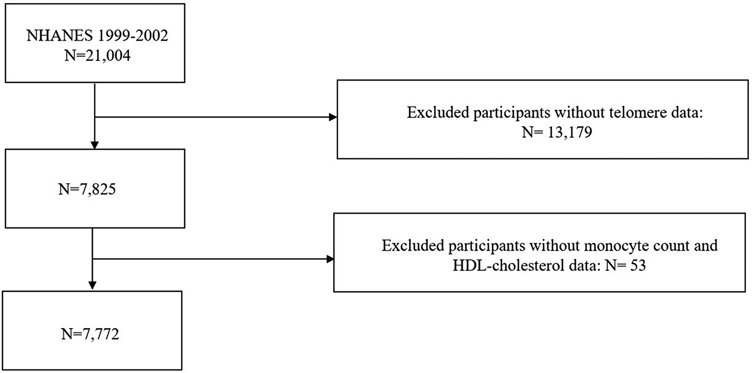 Association between monocyte to high-density lipoprotein cholesterol ratio and telomere length: based on NHANES 1999–2002