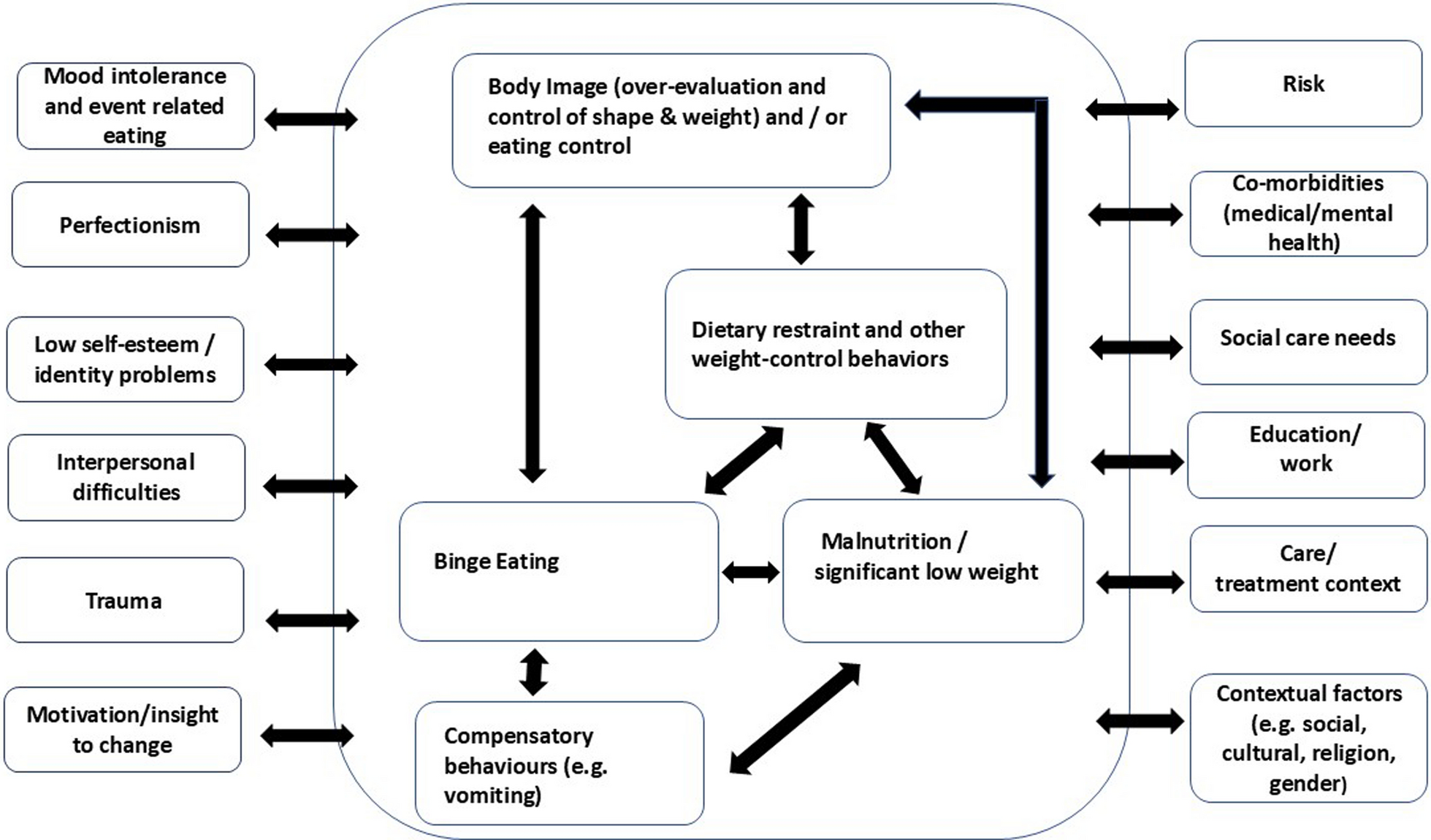 Applying integrated enhanced cognitive behaviour therapy (I-CBTE) to severe and longstanding eating disorders (SEED) Paper 2: An in-depth case study for clinicians