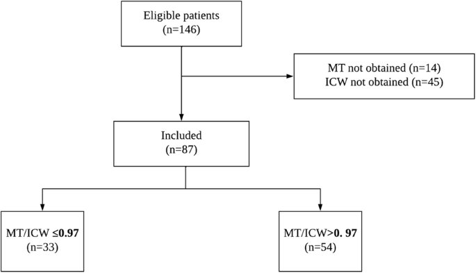 Positive association of the thigh muscle thickness to intracellular-water ratio with handgrip strength, but not with the risk of mortality in hospitalized cancer patients: a longitudinal study