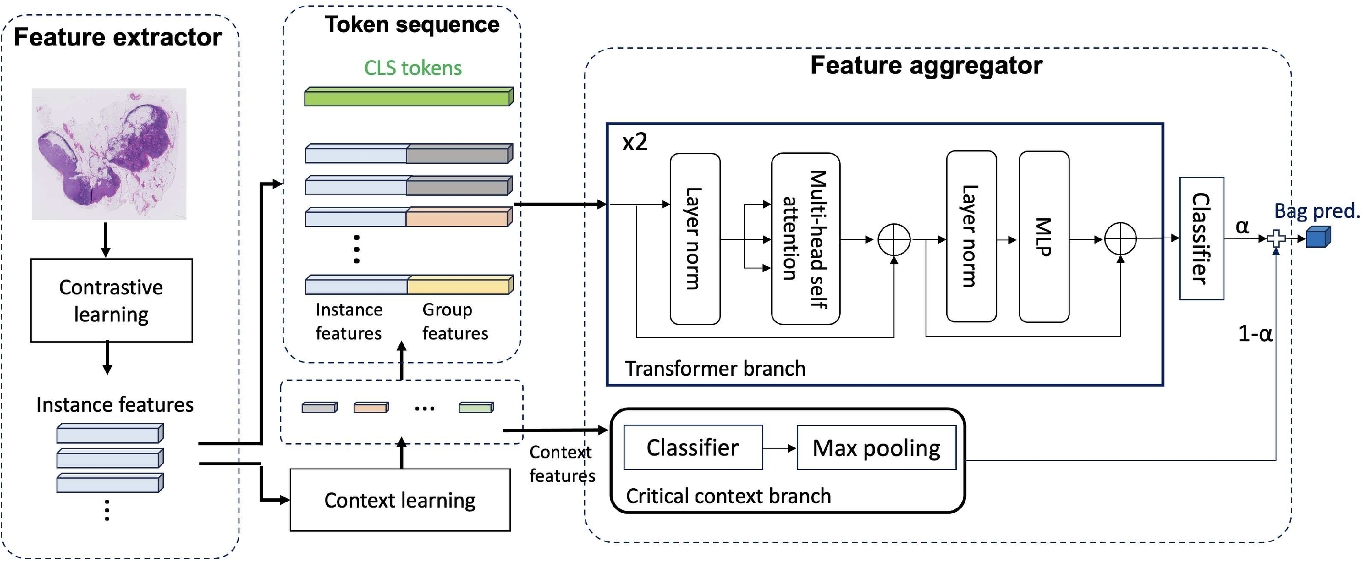 Learnable Context in Multiple Instance Learning for Whole Slide Image Classification and Segmentation