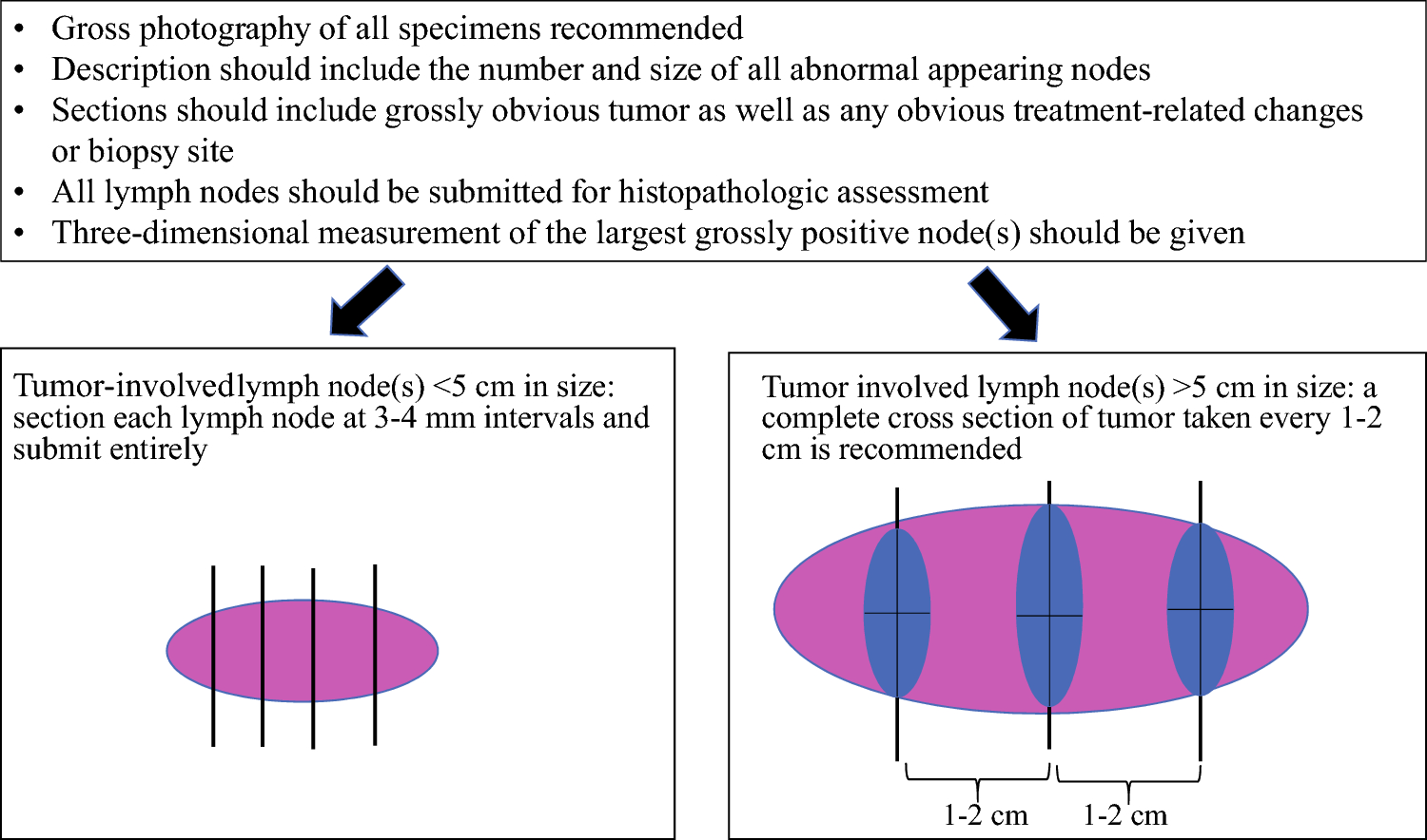 Annals of Surgical Oncology Practice Guidelines Series: Adjuvant and Neoadjuvant Therapy for Melanoma