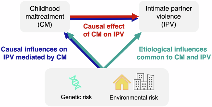 Causal and common risk pathways linking childhood maltreatment to later intimate partner violence victimization