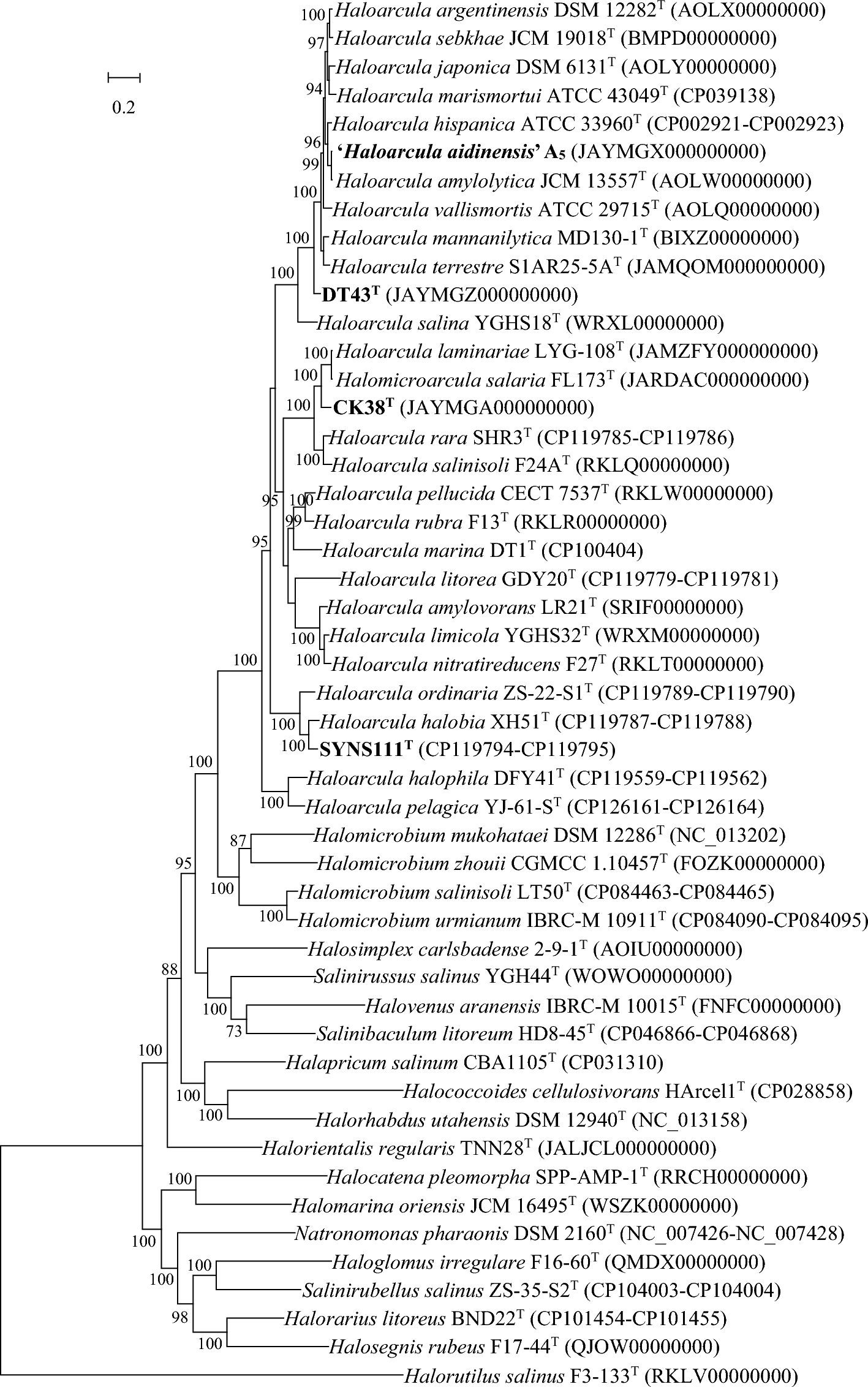 Genome-Based Classification of ‘Haloarcula aidinensis’ and Description of Three Novel Halophilic Archaea Isolated from an Inland Saline Lake, Coastal Saline Soil, and a Marine Solar Saltern