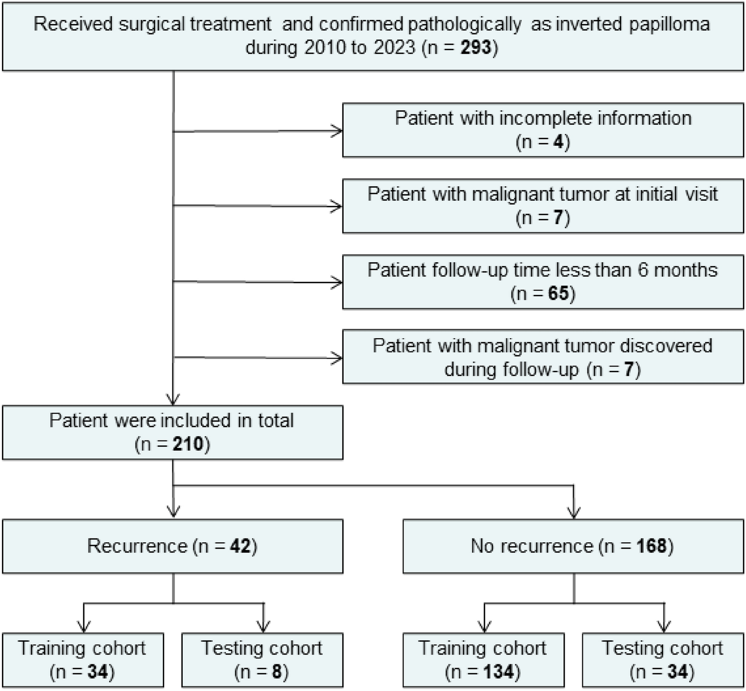 Prediction of recurrence-free survival and risk factors of sinonasal inverted papilloma after surgery by machine learning models