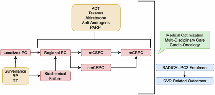 Comprehensive review of cardiovascular disease in prostate cancer: epidemiology, risk factors, therapeutics and prevention strategies