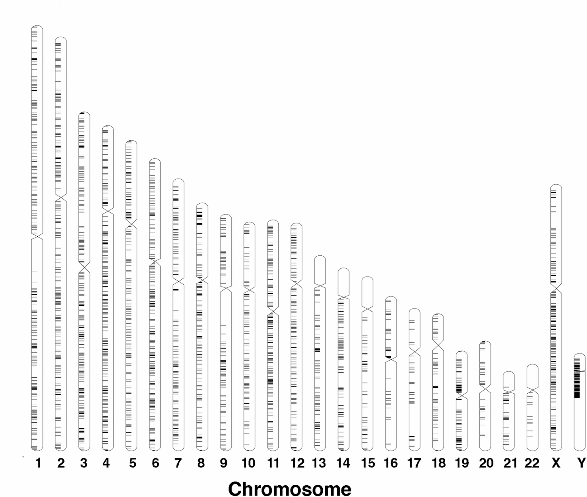 Shared and unique patterns of autonomous human endogenous retrovirus loci transcriptomes in CD14 + monocytes from individuals with physical trauma or infection with COVID-19