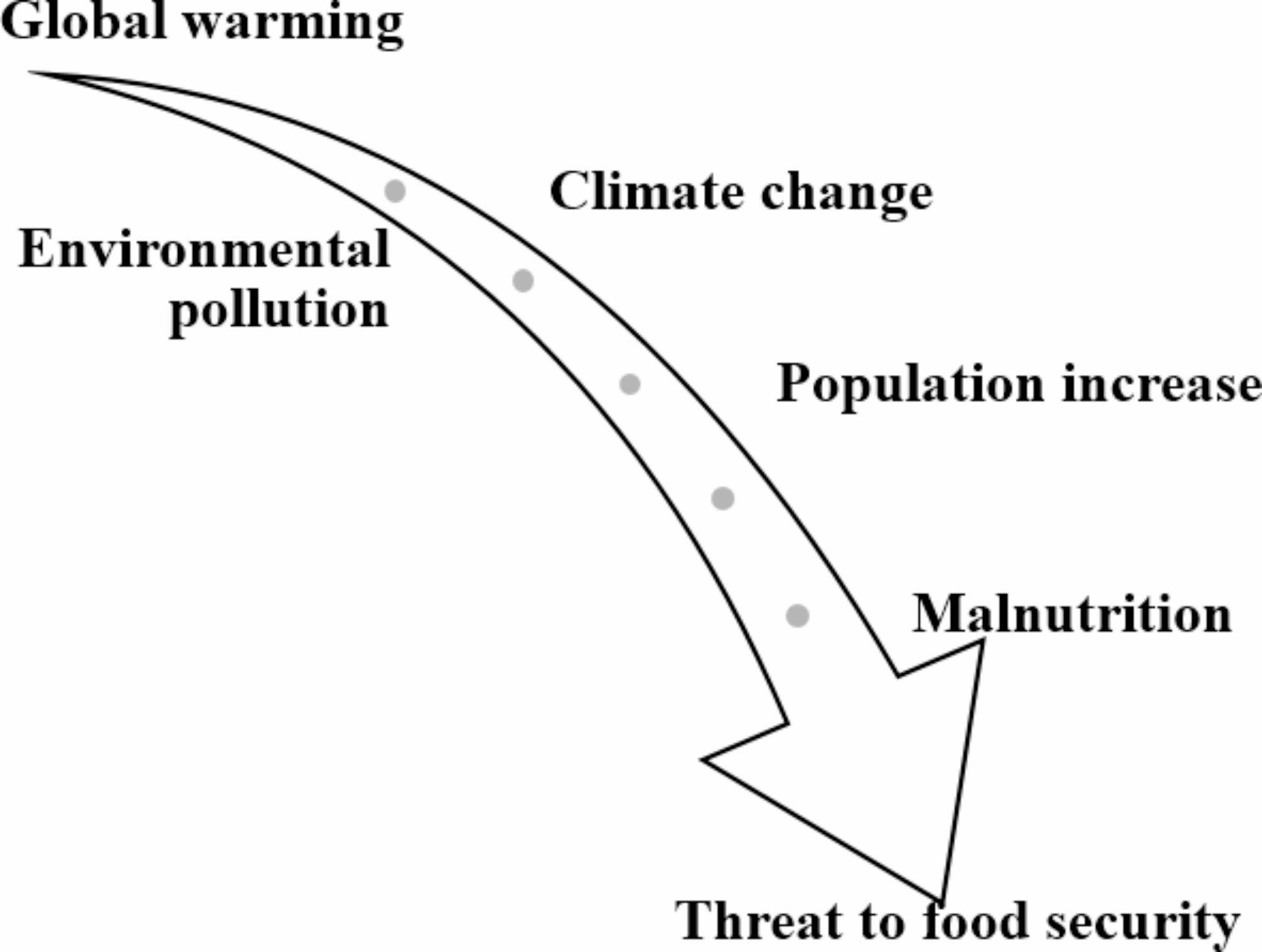 Nano selenium in broiler feeding: physiological roles and nutritional effects