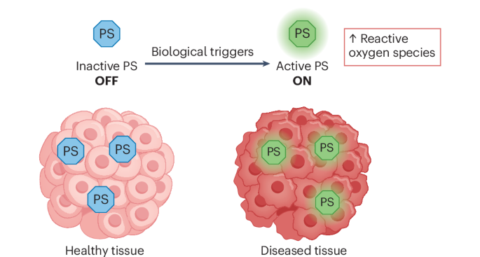 Smart molecular designs and applications of activatable organic photosensitizers