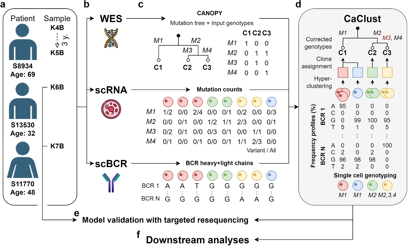 CaClust: linking genotype to transcriptional heterogeneity of follicular lymphoma using BCR and exomic variants