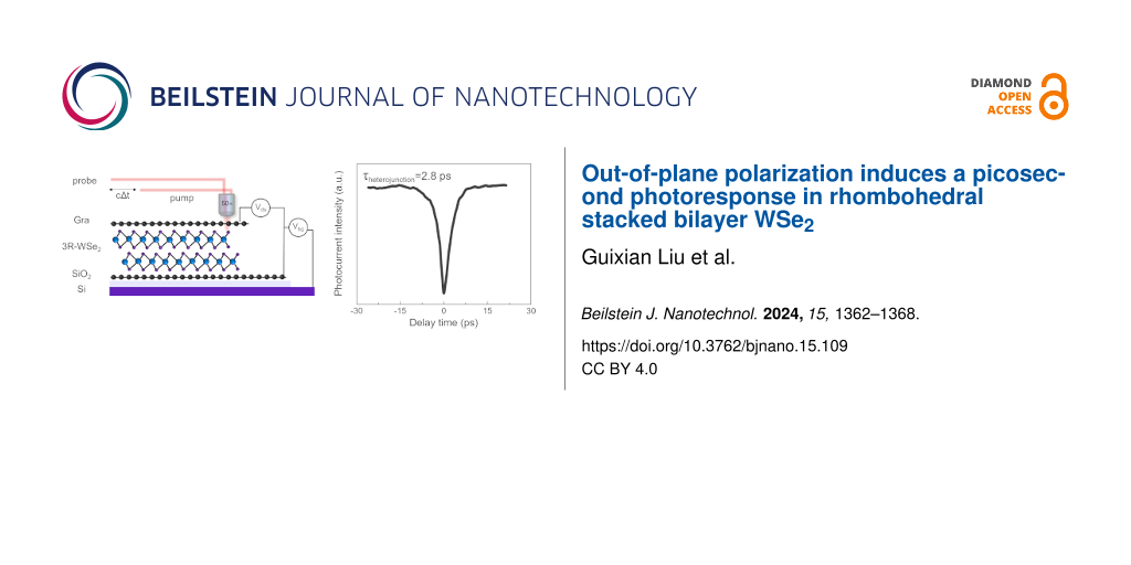 Out-of-plane polarization induces a picosecond photoresponse in rhombohedral stacked bilayer WSe2