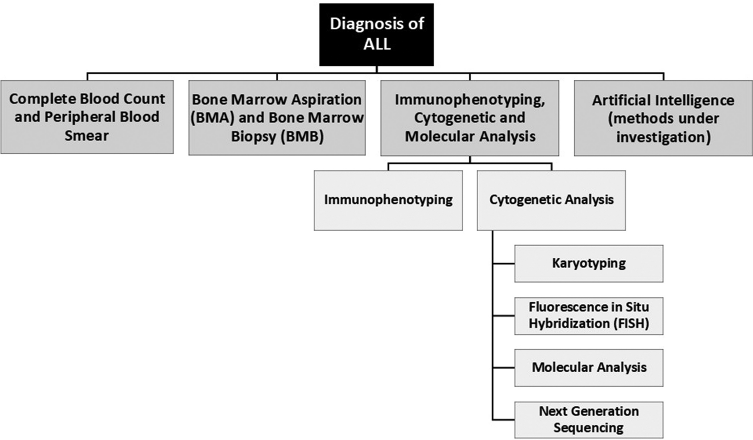 Paediatric Acute Lymphoblastic Leukaemia: A Narrative Review of Current Knowledge and Advancements