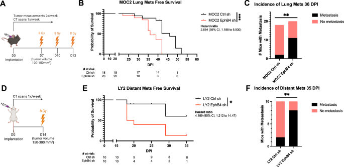 Manipulating the EphB4-ephrinB2 axis to reduce metastasis in HNSCC