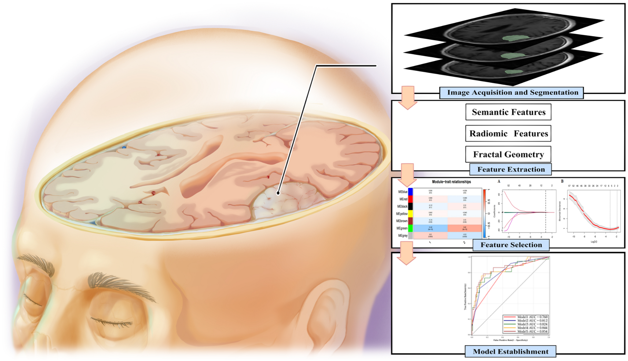 Study of prediction model for high-grade meningioma using fractal geometry combined with radiological features