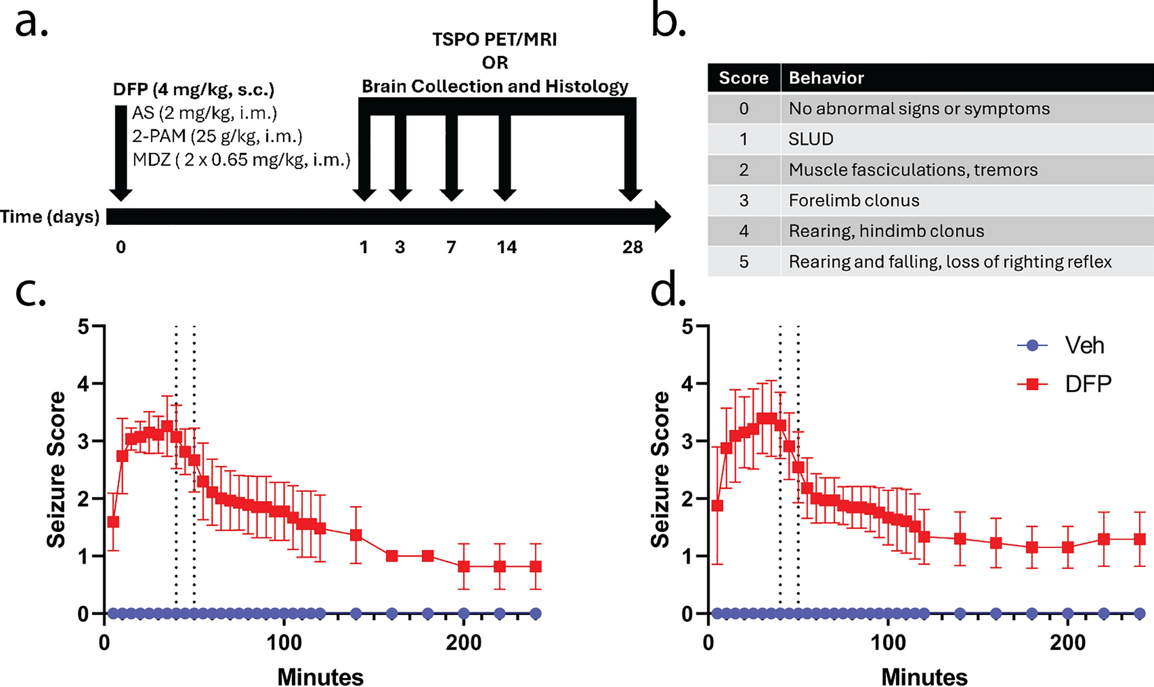 Shifts in the spatiotemporal profile of inflammatory phenotypes of innate immune cells in the rat brain following acute intoxication with the organophosphate diisopropylfluorophosphate