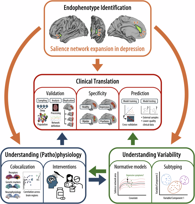 Moving towards precision psychiatry: the hard nut of depression