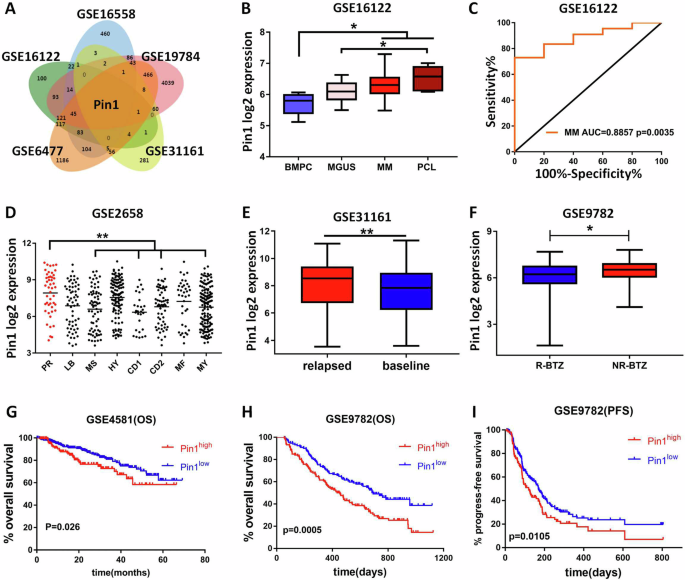 Overexpression of Pin1 regulated by TOP2A, which subsequently stabilizes Pyk2 to promote bortezomib resistance in multiple myeloma