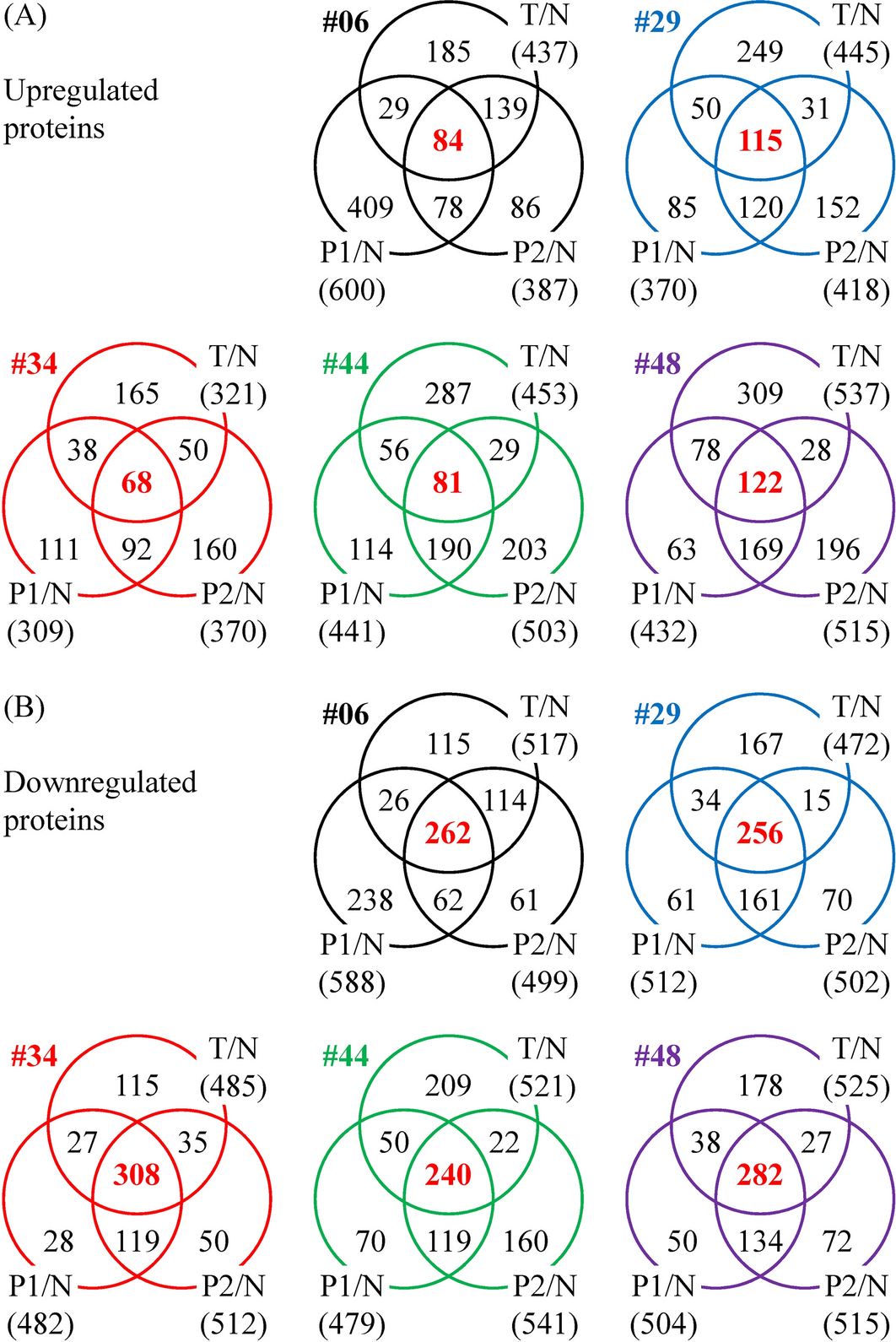 Upregulation of ENAH by a PI3K/AKT/β-catenin cascade promotes oral cancer cell migration and growth via an ITGB5/Src axis