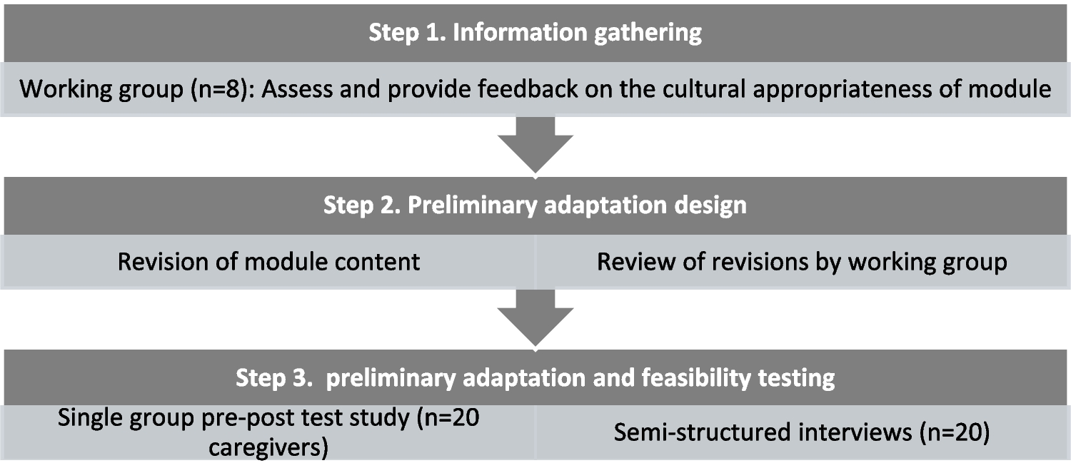 Improving communication skills in caregivers: an adaptation and pilot test of a brief training module for caregivers of people with cancer in Australia