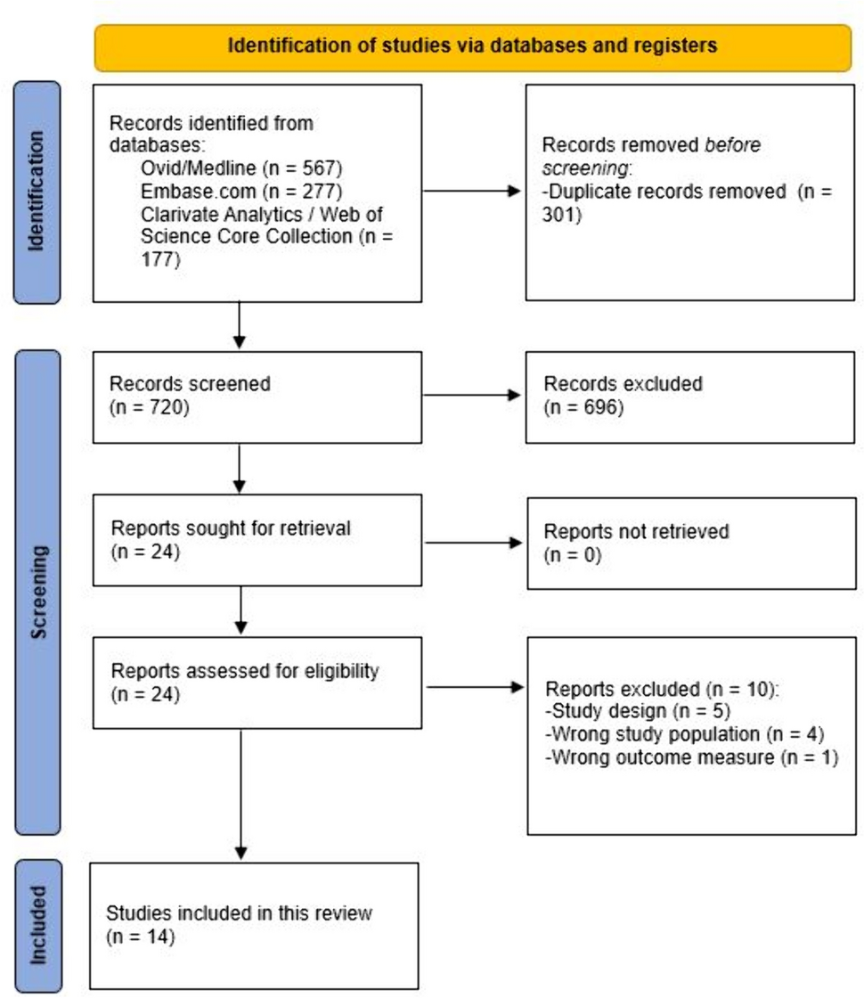 Online video versus face-to-face patient–surgeon consultation: a systematic review