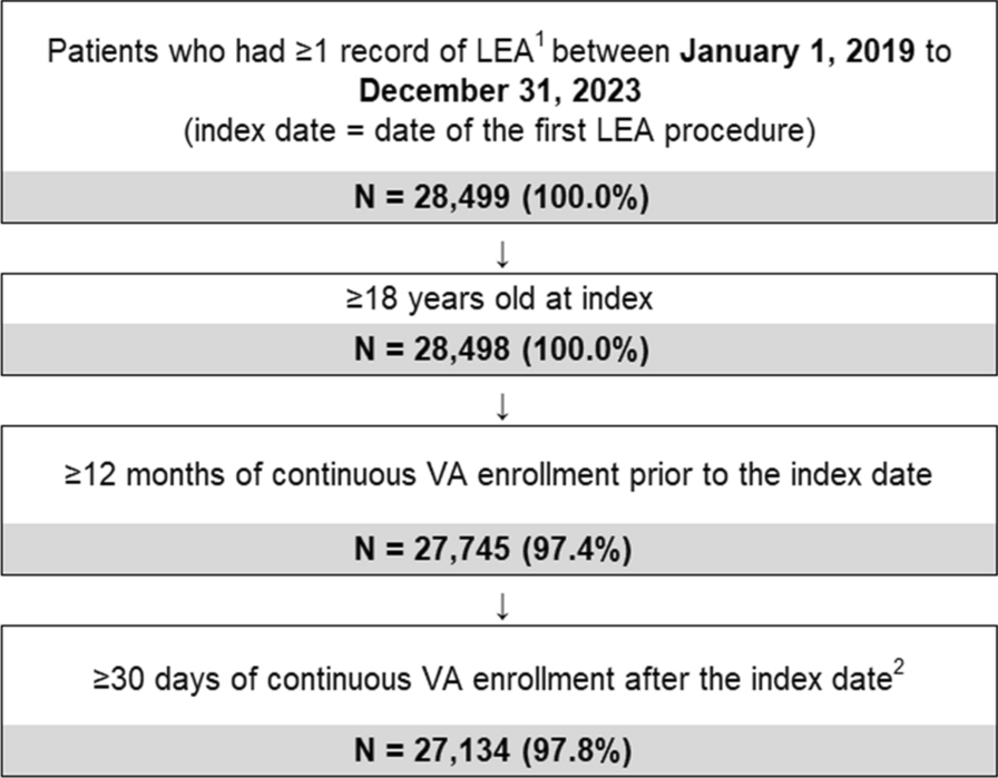 Descriptive Analysis of Types and Diagnoses Associated with Lower Extremity Amputation: Analysis of the US Veterans Health Administration Database 2019–2023