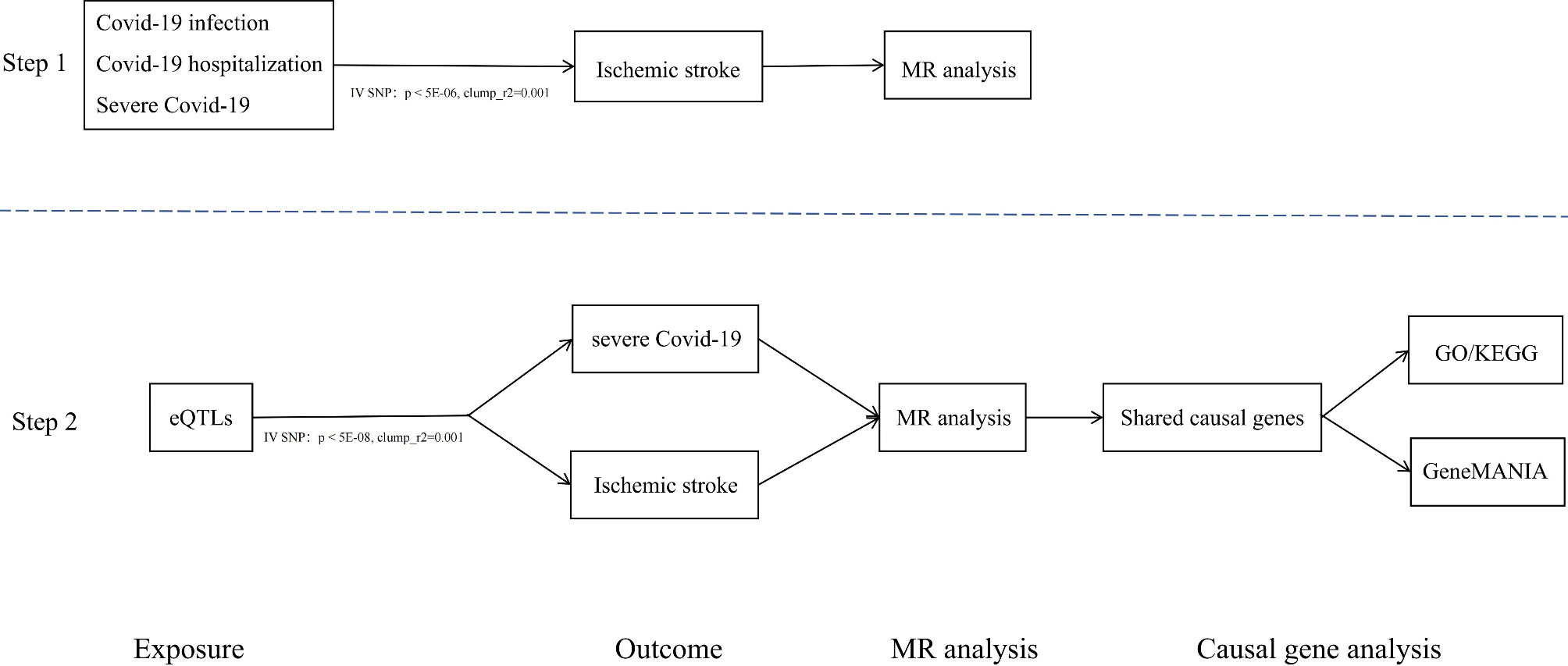 The causal association between COVID-19 and ischemic stroke: a mendelian randomization study