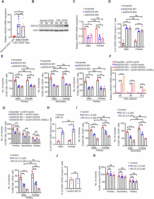 Targeting DDX3X eliminates leukemia stem cells in chronic myeloid leukemia by blocking NT5DC2 mRNA translation