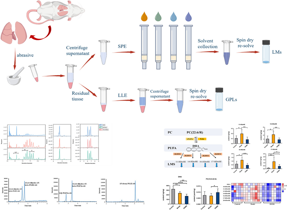 A simultaneous analysis strategy of glycerophospholipids and lipid mediators based on secondary extraction scheme