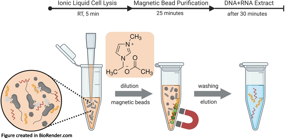 A novel ionic liquid-based approach for DNA and RNA extraction simplifies sample preparation for bacterial diagnostics