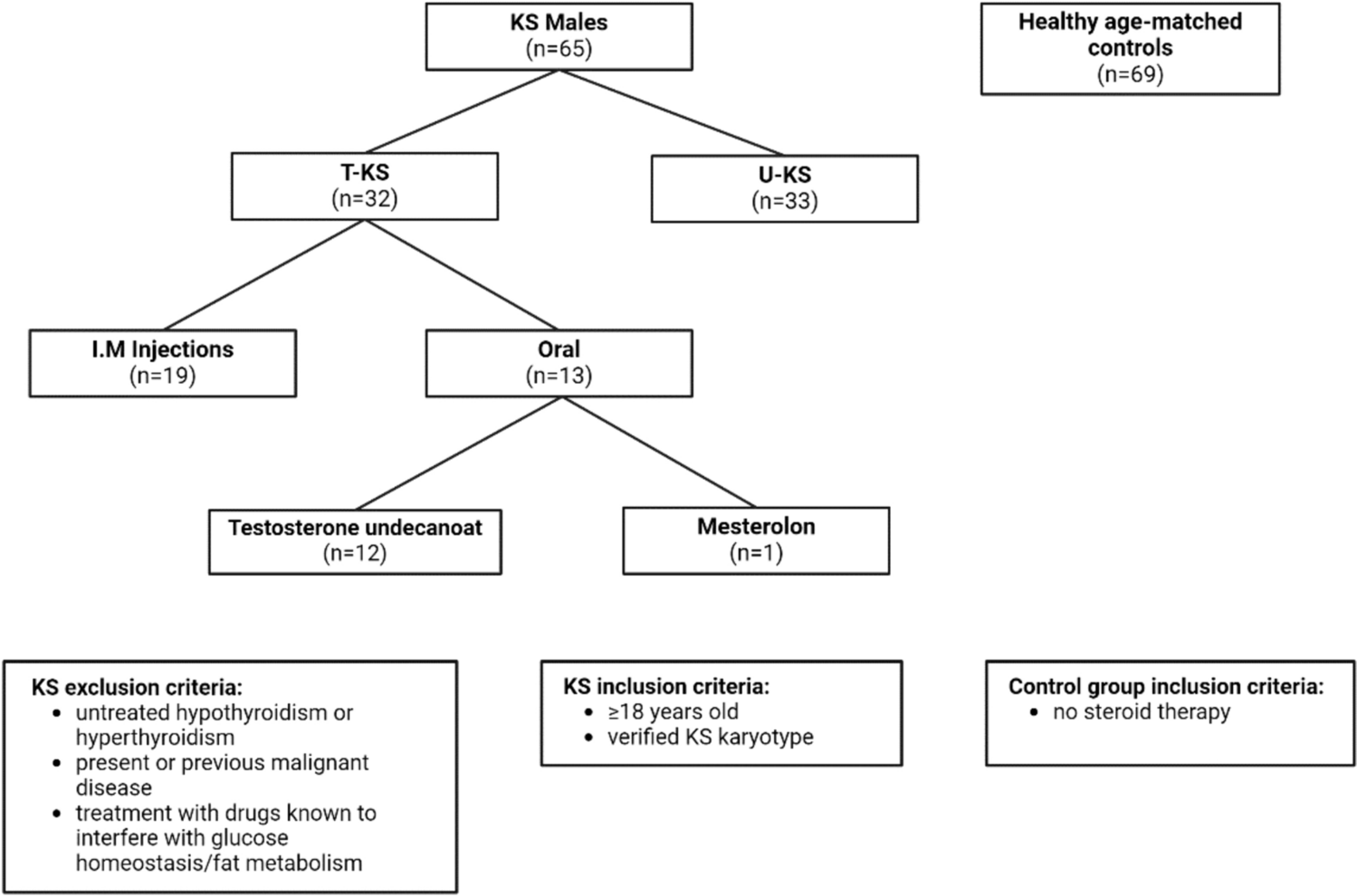 Mild liver dysfunction in Klinefelter syndrome is associated with abdominal obesity and elevated lipids but not testosterone treatment