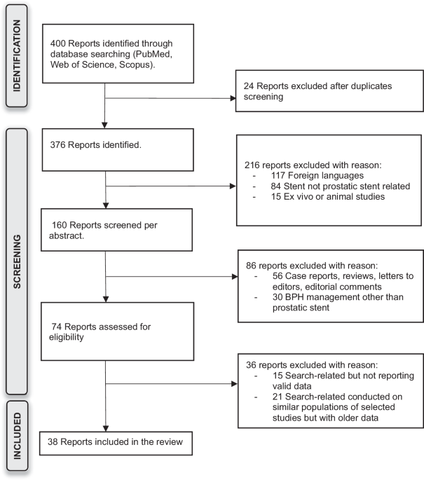 Prostatic stents: a systematic review and analysis of functional outcomes and complication rate