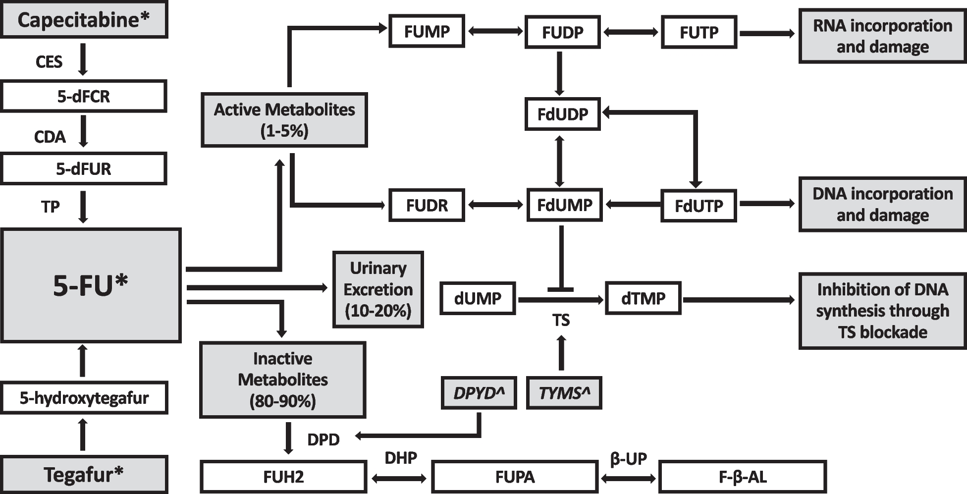 DPYD genotype-guided dose personalisation for fluoropyrimidine-based chemotherapy prescribing in solid organ cancer patients in Australia: GeneScreen 5-FU study protocol