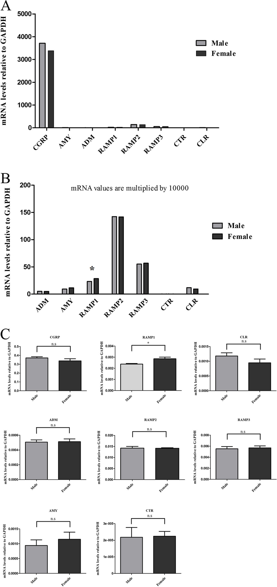 Sex differences in expression of CGRP family of receptors and ligands in the rat trigeminal system