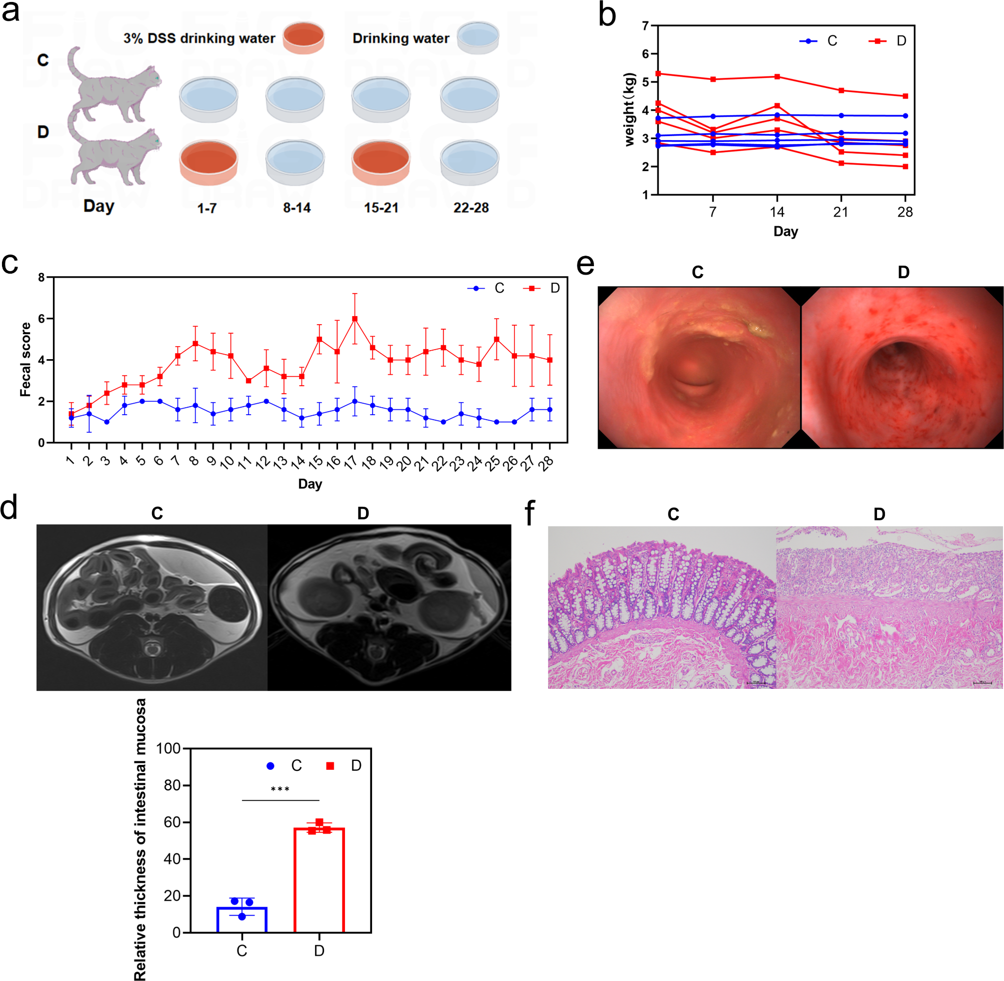 Mesenchymal stem cells: a novel therapeutic approach for feline inflammatory bowel disease