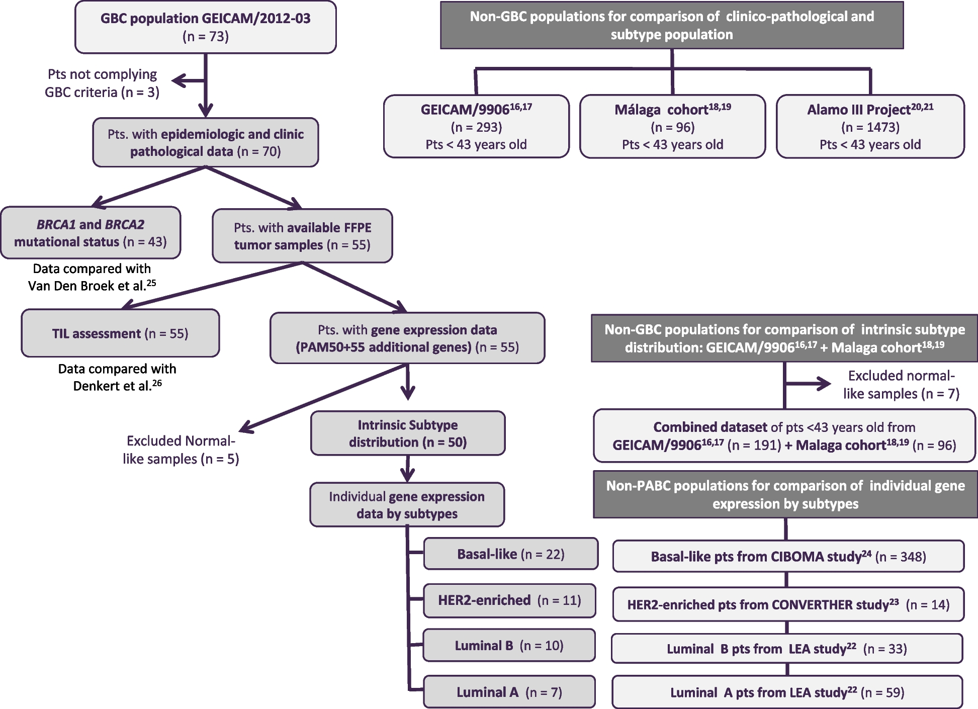 Gestational breast cancer: distinctive molecular and clinico-epidemiological features