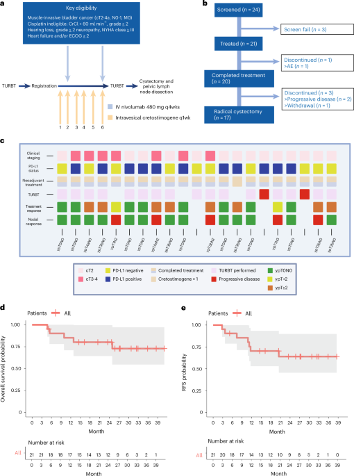 Oncolytic immunotherapy with nivolumab in muscle-invasive bladder cancer: a phase 1b trial