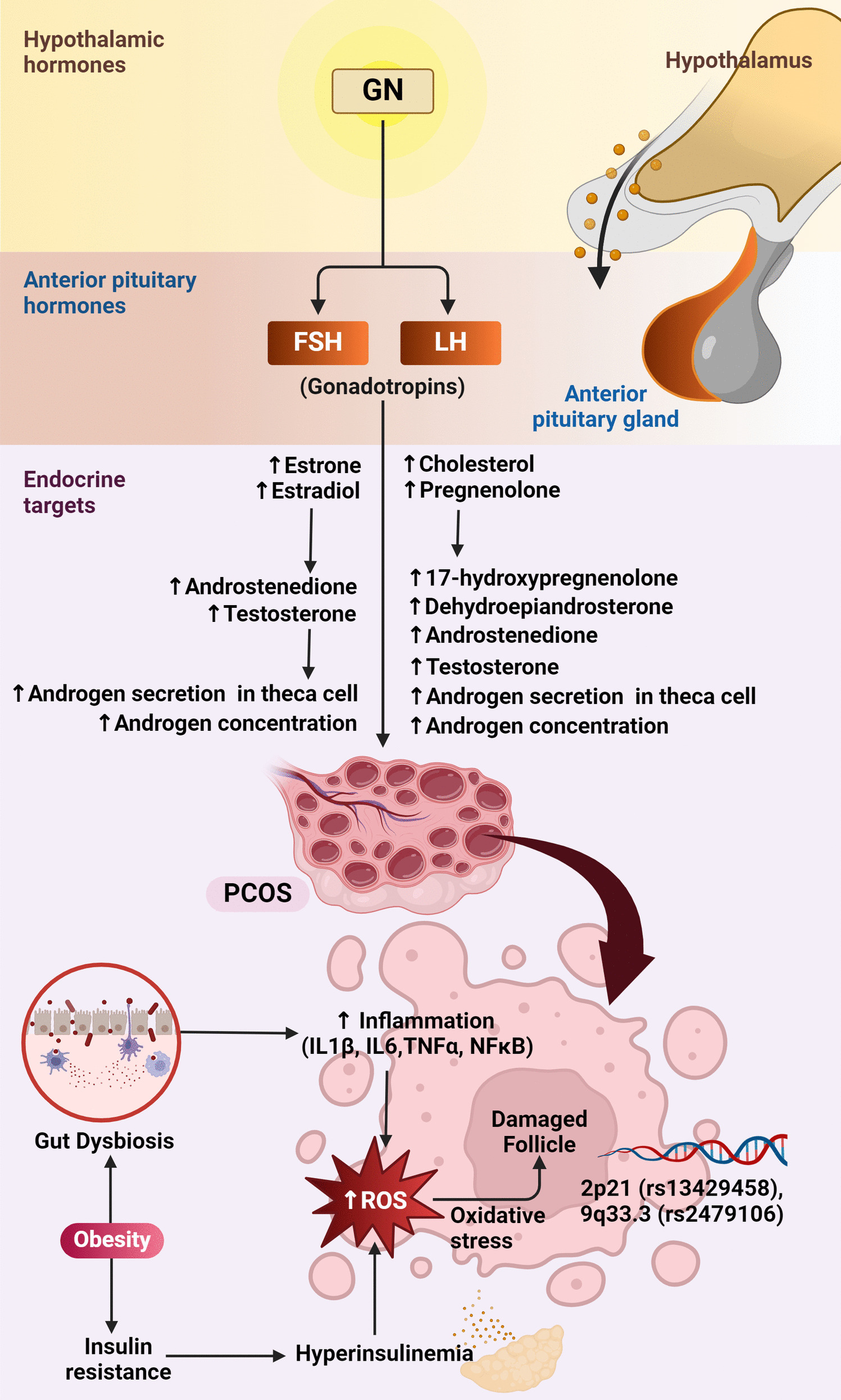 Bridging gap in treatment of polycystic ovarian syndrome through drug repurposing: what we achieved and where we are?