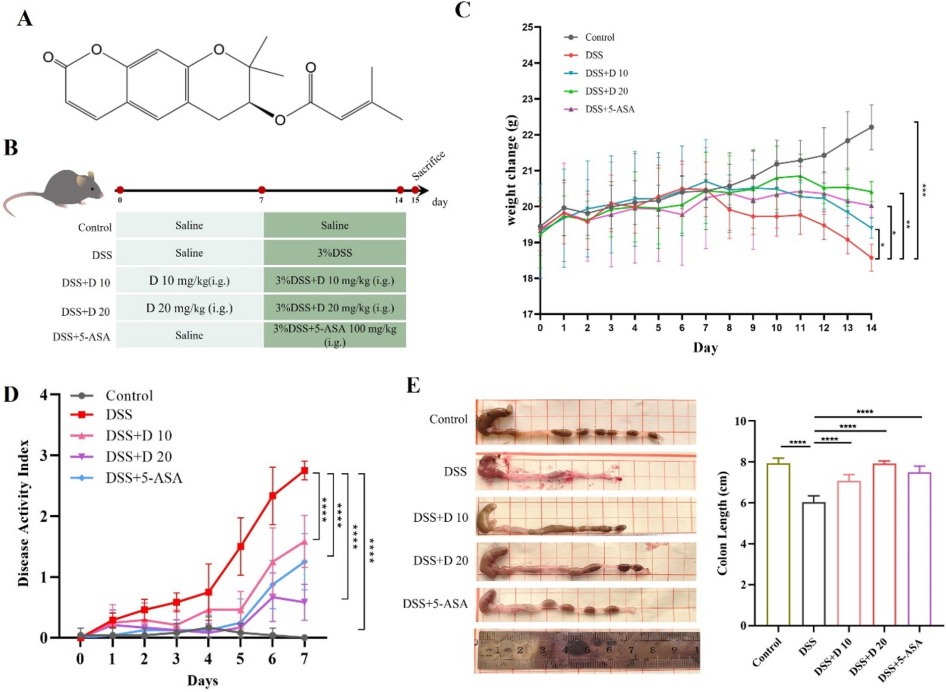 Decursin protects against DSS-induced experimental colitis in mice by inhibiting the cGAS-STING signaling pathway