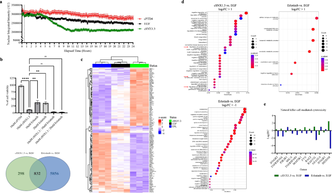 Nuclear EGFR in breast cancer suppresses NK cell recruitment and cytotoxicity