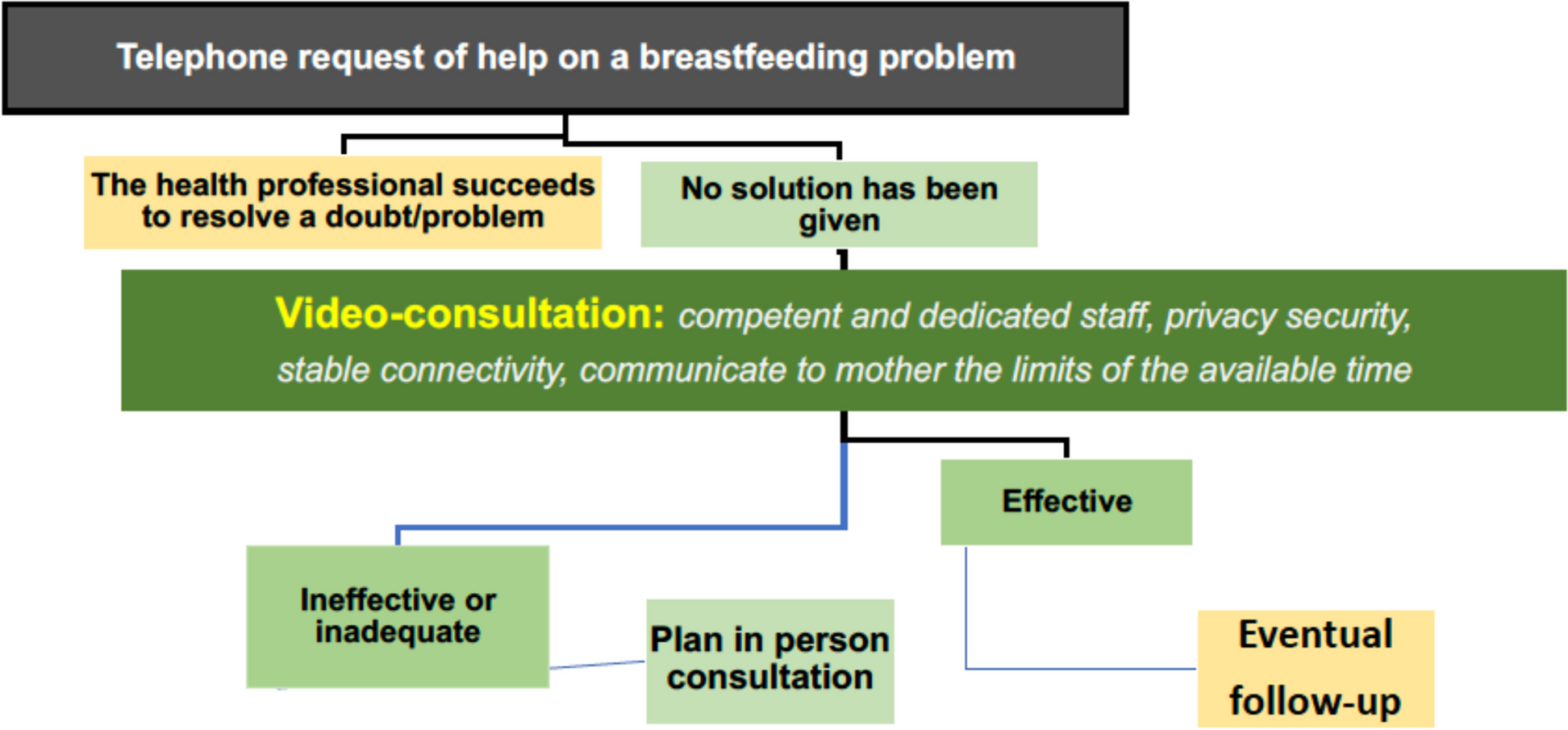 Tele-support in breastfeeding: position statement of the Italian society of Neonatology