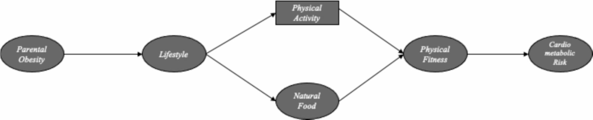 Parental obesity, health determinants, and cardiometabolic risk according to sleep duration in schoolchildren: analysis through structural equations