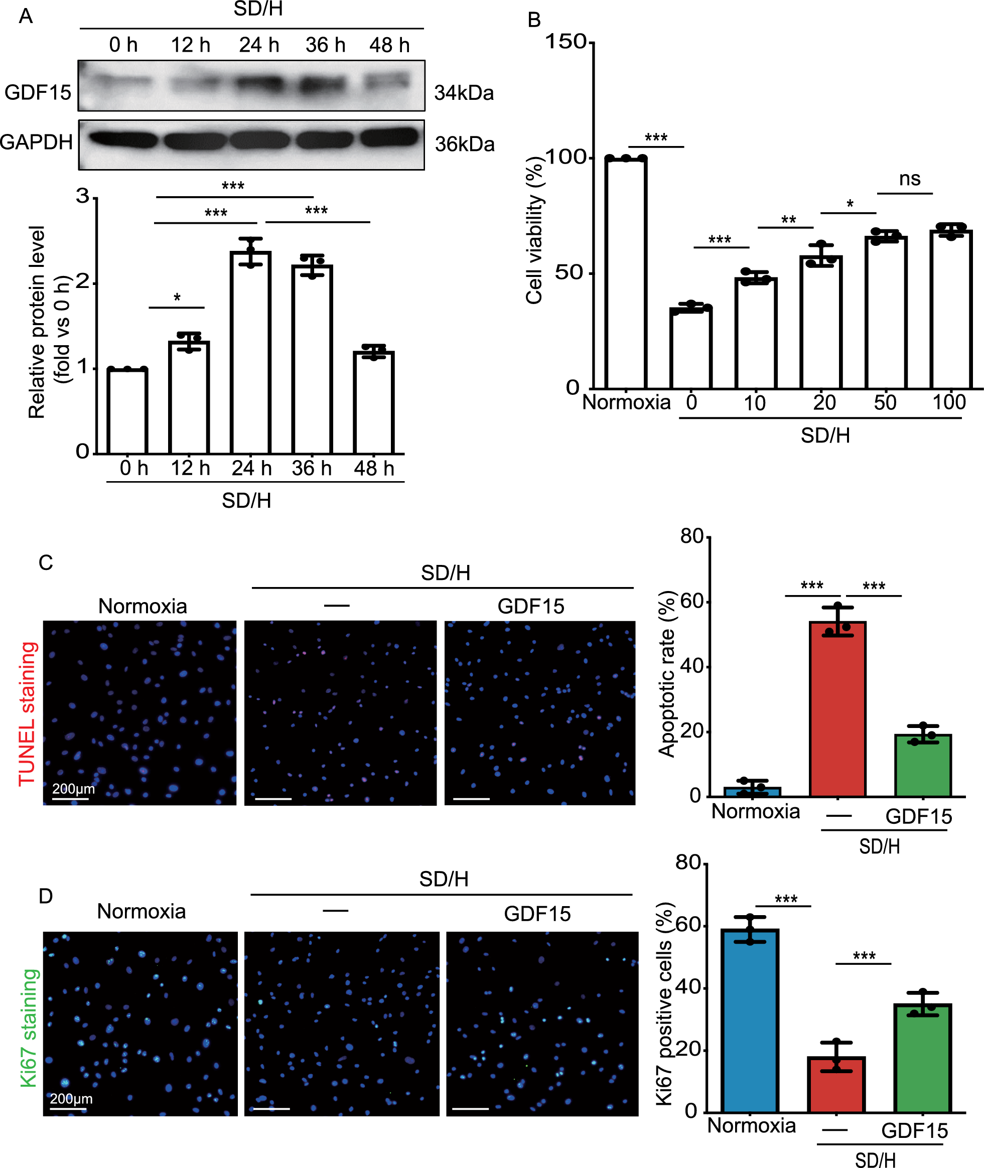 Pretreatment with growth differentiation factor 15 augments cardioprotection by mesenchymal stem cells in myocardial infarction by improving their survival