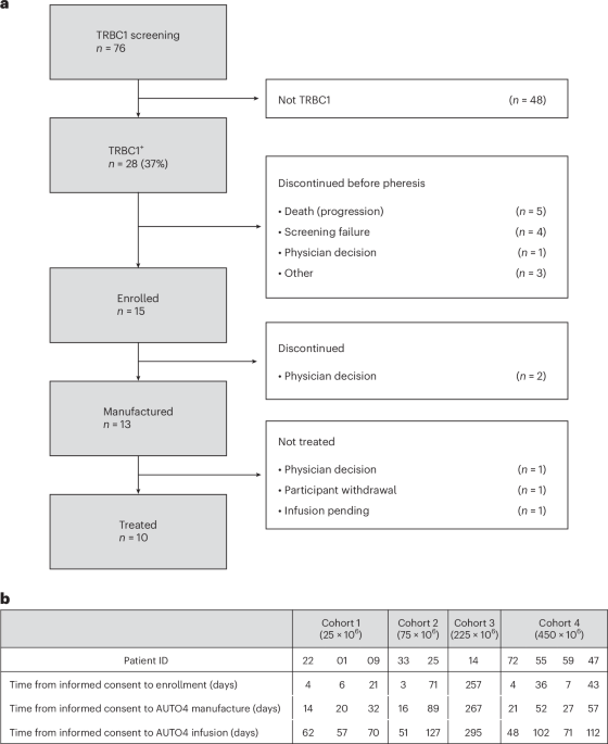 TRBC1-CAR T cell therapy in peripheral T cell lymphoma: a phase 1/2 trial