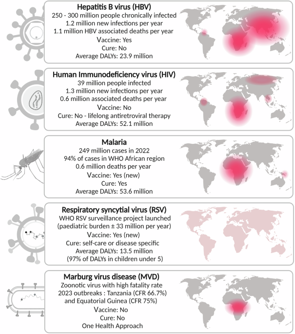 The disparate burden of infectious diseases