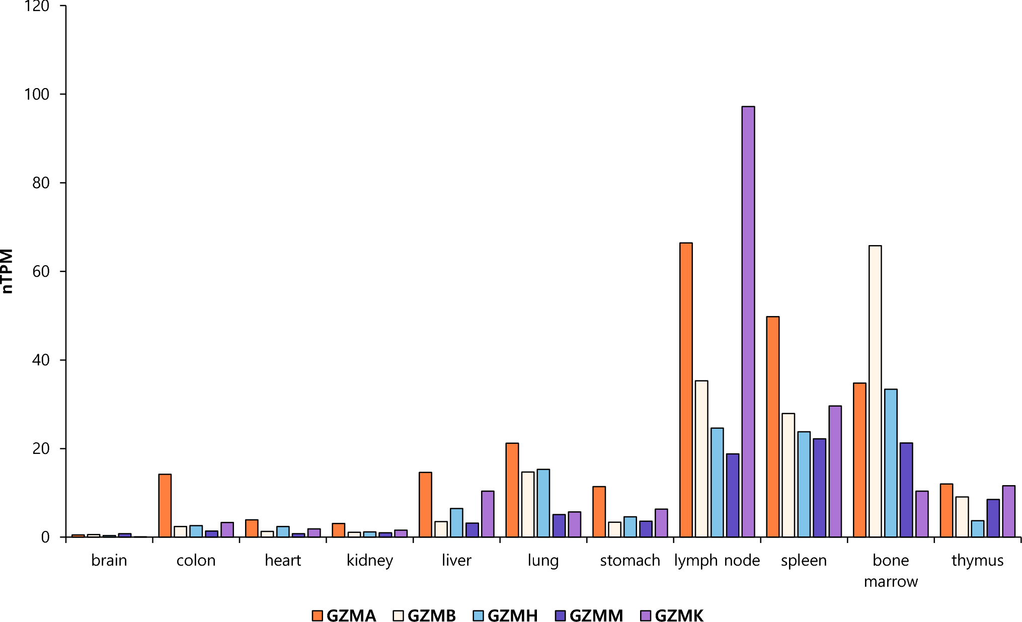 Granzyme mRNA-miRNA interaction and its implication to functional impact