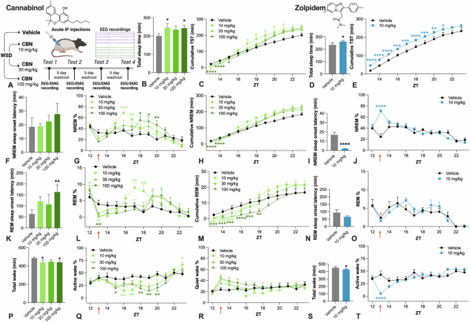 A sleepy cannabis constituent: cannabinol and its active metabolite influence sleep architecture in rats