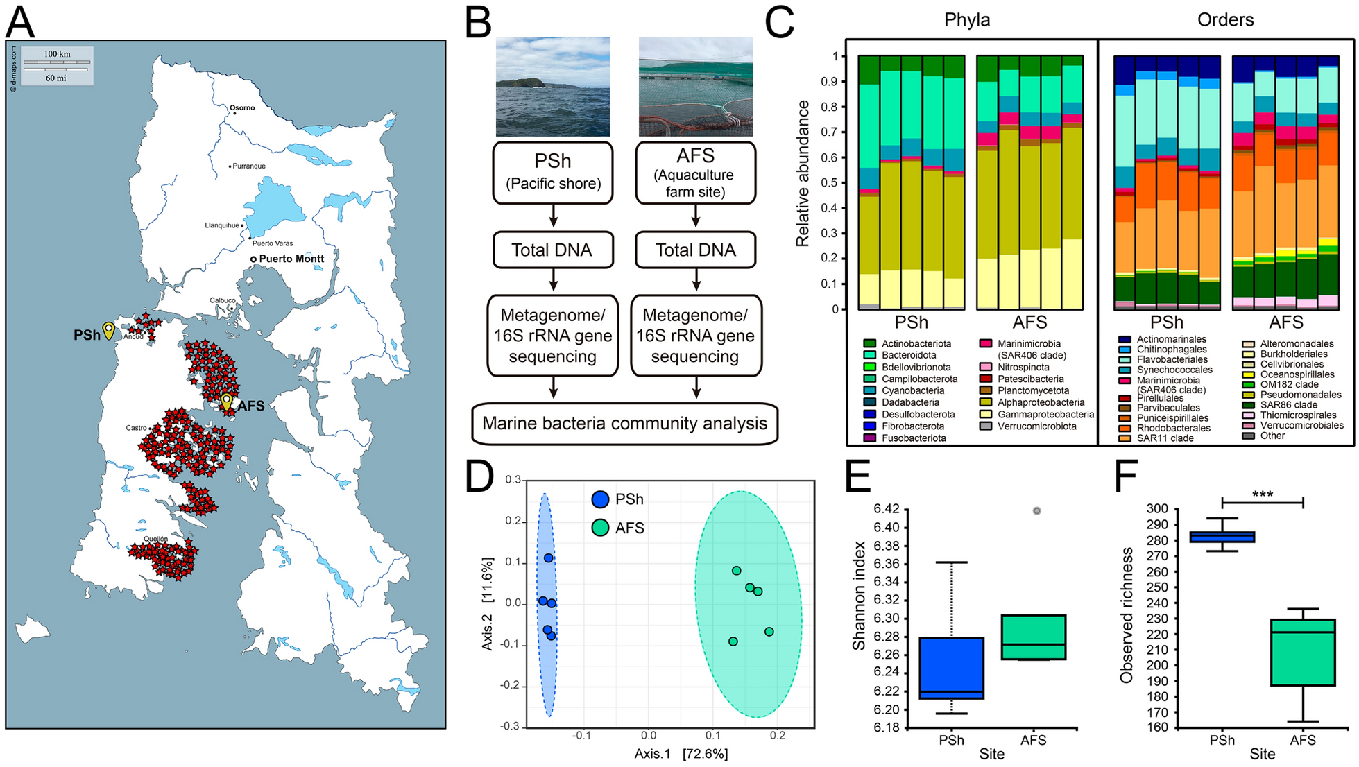 Impact of salmon farming in the antibiotic resistance and structure of marine bacterial communities from surface seawater of a northern Patagonian area of Chile