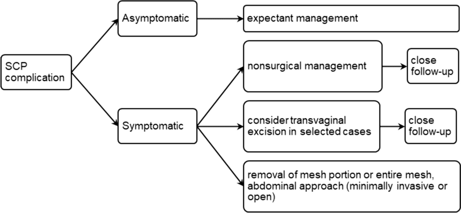 Management of Sacrocolpopexy Mesh Complications—A Narrative Review and Clinical Experience from a Large-Volume Center