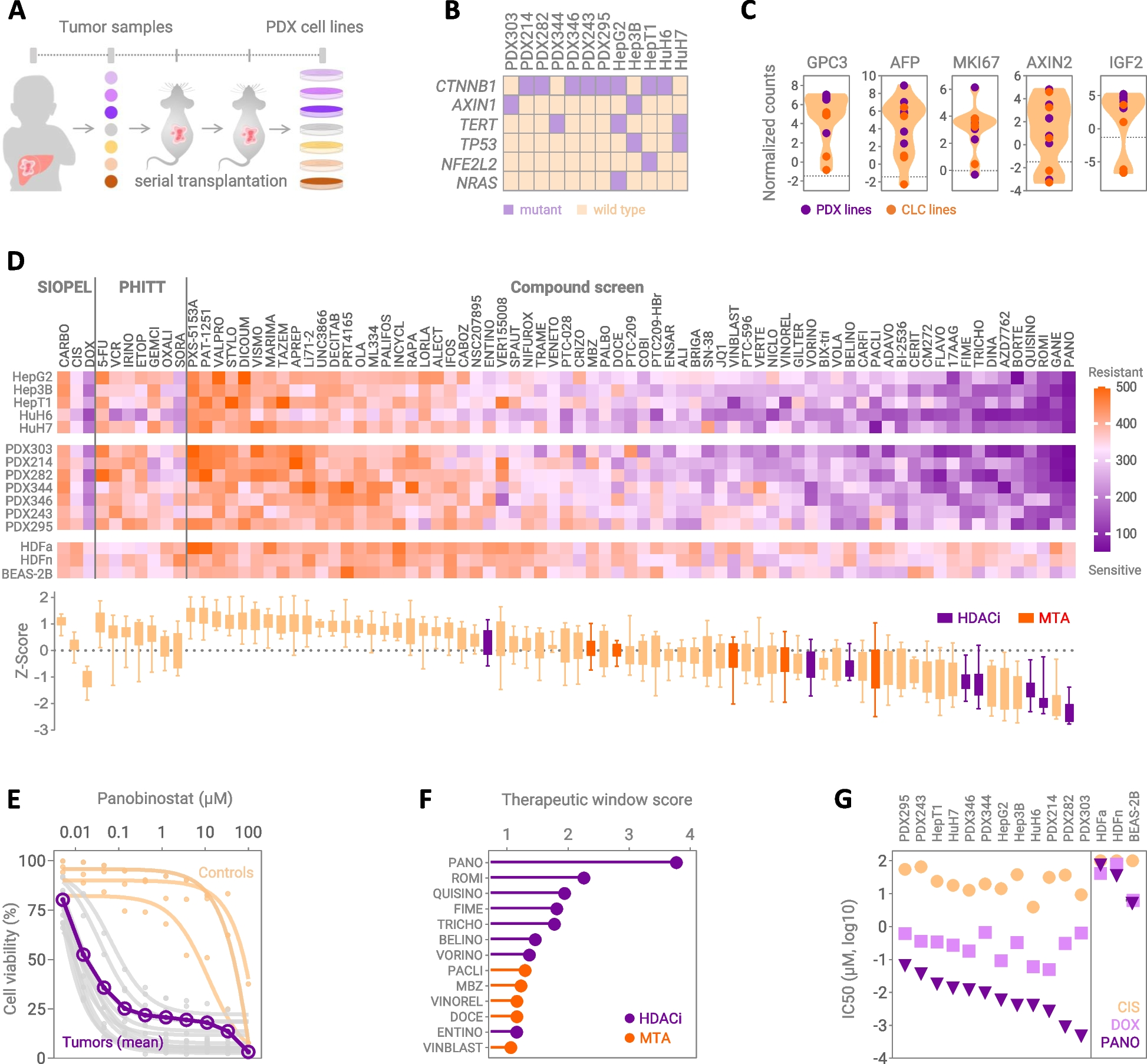 Drug prioritization identifies panobinostat as a tailored treatment element for patients with metastatic hepatoblastoma